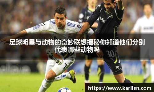 足球明星与动物的奇妙联想揭秘你知道他们分别代表哪些动物吗
